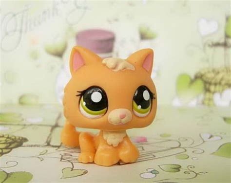المطبخ العربي ‎) is the cuisine of the arabs, defined as the various regional cuisines spanning the arab world, from the maghreb to the fertile crescent and the arabian peninsula. Littlest Pet Shop Orange Baby Cat Green Eyes 1998 | eBay #lps #hasbro #kitten | Littlest Pet ...