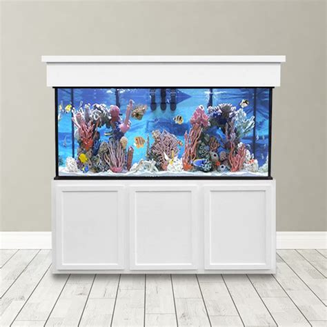 240 Gallon Saltwater Aquarium Custom Glass Fish Tank Custom Aquariums