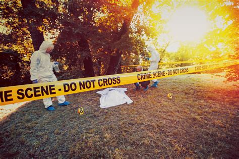 Crime Scene Investigation Stock Photo Download Image Now Istock