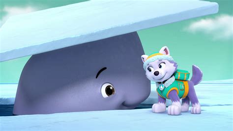 Watch Paw Patrol Season 3 Episode 20 Pups Get Skunkedpups And A Whale