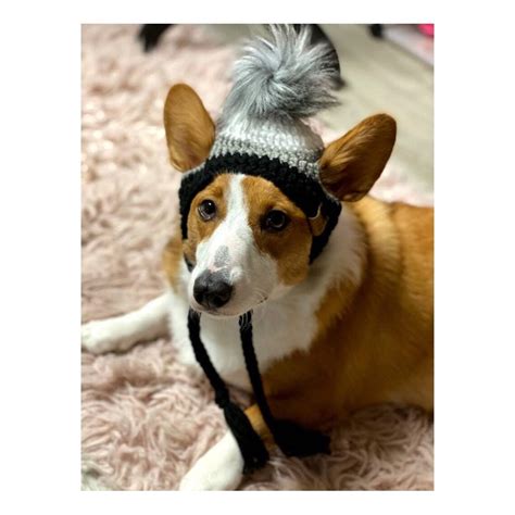 Dog Beanie Dog Hat Pupper Beanies Pet Beanies Fur Baby Etsy