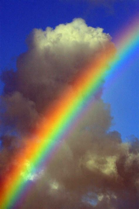 Rainbows Spectrum Rainbow Sky Over The Rainbow Rainbow