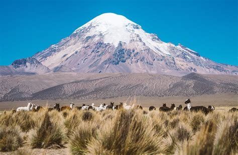 Travel To Bolivia Discover Bolivias Attractions Kilroy
