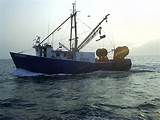 Photos of Commercial Fishing Boat For Sale