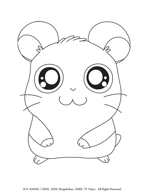 Desenho Hamster Para Colorir Desenhos De Hamster Para Colorir Para Gr Tis E Imprimir