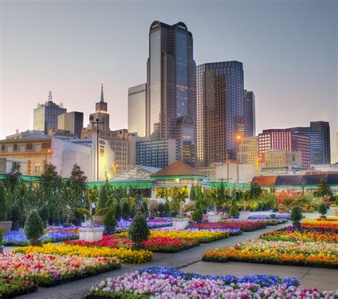 Maybe you would like to learn more about one of these? Detroit Vs Dallas (place, people, airport, skyline) - City ...