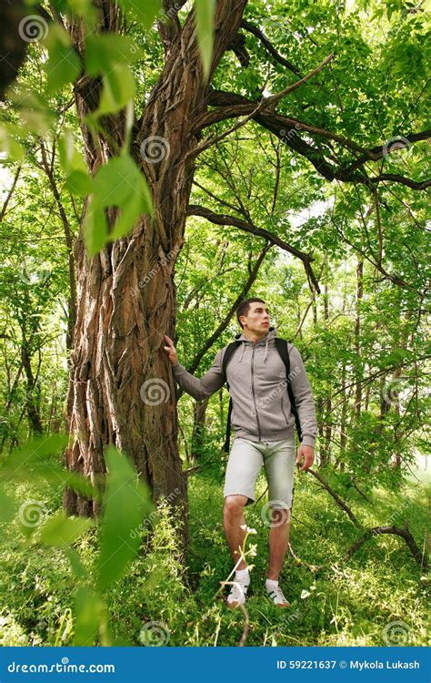 有背包的年轻远足者人走在夏天森林旅行的男性的站立在一棵大树附近 库存图片 图片 包括有 59221637