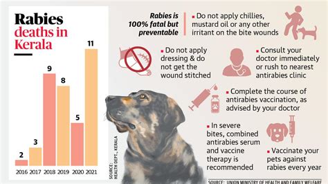 For Kerala Rabies Preventive Vaccine Is Worth Exploring The Hindu