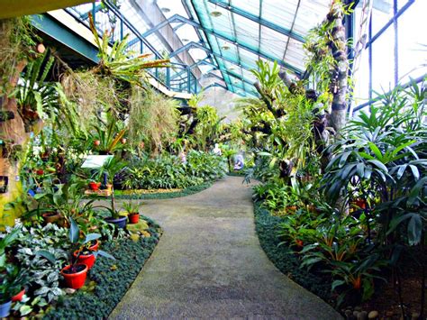 Tema wisata ini ialah konservasi tumbuhan pulau kecil di indonesia. Spot-spot Foto di Kebun Raya Bogor yang Instagramable