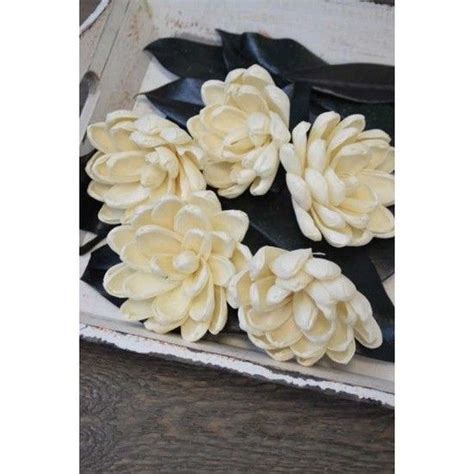 They look like they just accomplished. @curiouscountry posted to Instagram: ***NEW PRODUCT ...