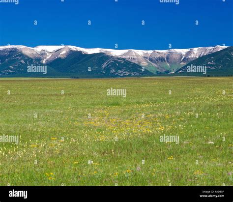 Big Snowy Mountains And Prairie Near Judith Gap Montana Stock Photo