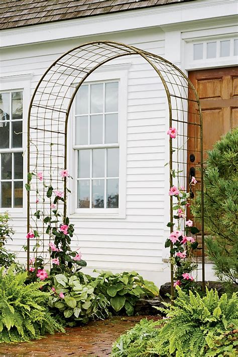 More lovely roses for your trellis or arbor. Romanesque Arch -- a classic garden design that ensures ...