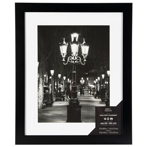 Pinnacle 1 Opening 12 In X 16 In Matted Picture Frame 16fw1048e The