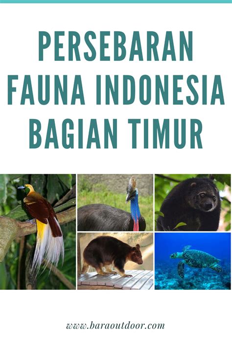 Gambar Flora Dan Fauna Bagian Timur Ava Welch