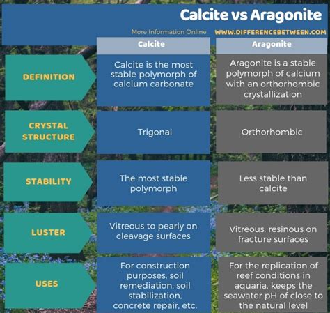 Difference Between Calcite And Aragonite Compare The Difference