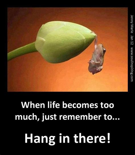 When It Gets Too Much Just Remember To Hang In There