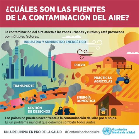 Infografía ¿cuáles Son Las Fuentes De La Contaminación Del Aire 2018 Opsoms Organización