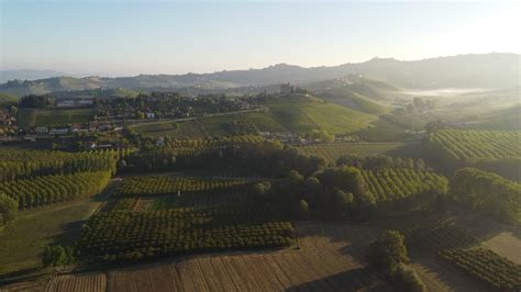 Vineyard Aerial View In Langhe Piedmont Italy 15457222 Stock Video At
