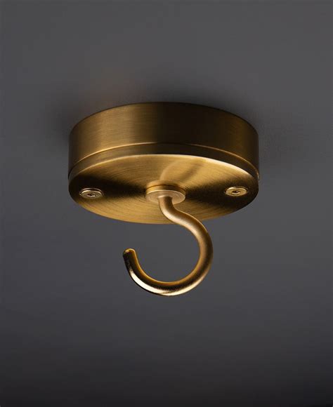 Fools Gold Ceiling Hook In 2021 Ceiling Hooks Bathroom Light