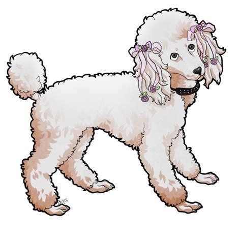 Miko Poodle By Tesso On Deviantart