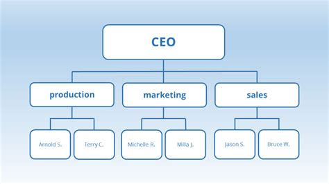 Functional Organisation Structure Diagram