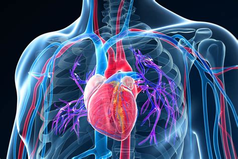 Cardiovascular Disease Topics Heart Disease Evaluation Software
