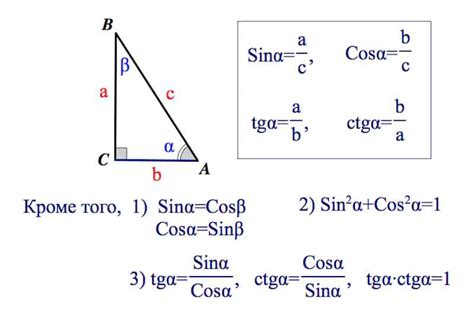 Лучшие материалы что такое синус косинус тангенс котангенс в прямоугольном треугольнике