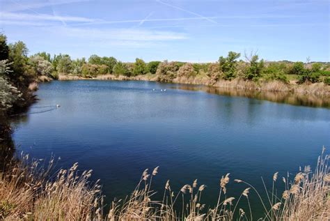 Al sureste de la comunidad de madrid se localiza este espacio que alberga áreas y enclaves que constituyen algunas de las entidades biogeográficas más ricas e interesantes de la región, con formaciones vegetales y poblaciones de fauna de gran diversidad y riqueza de especies, entre las que destaca la avifauna asociada a cortados y cantiles, sotos fluviales y lagunas, o aquellas otras. Blog de una madre desesperada: Las Lagunas de las Madres