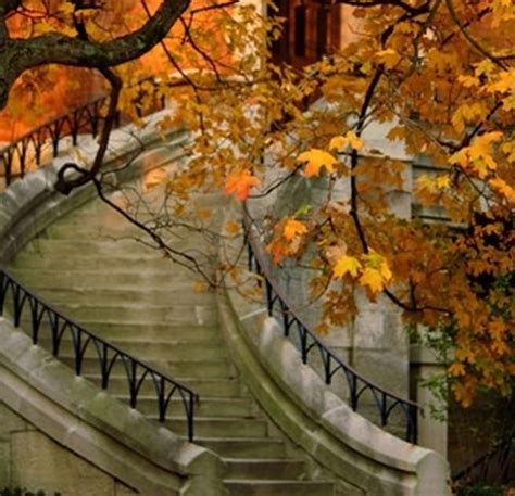 Autumn Stairs Nature Trees Hd Wallpaper Peakpx