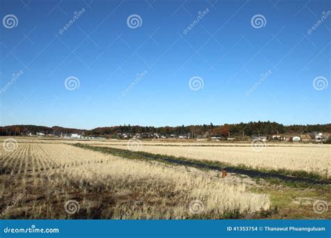 Beautiful Japanese View Stock Photo Image Of Crosswalk 41353754