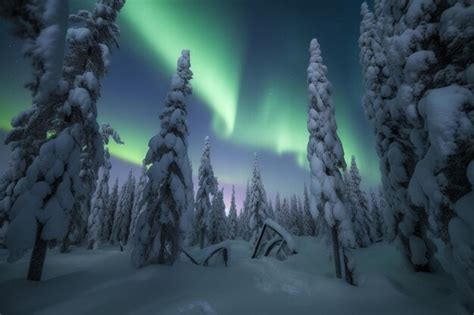 Premium Photo Trees Covered In Snow With Northern Lights In The Sky