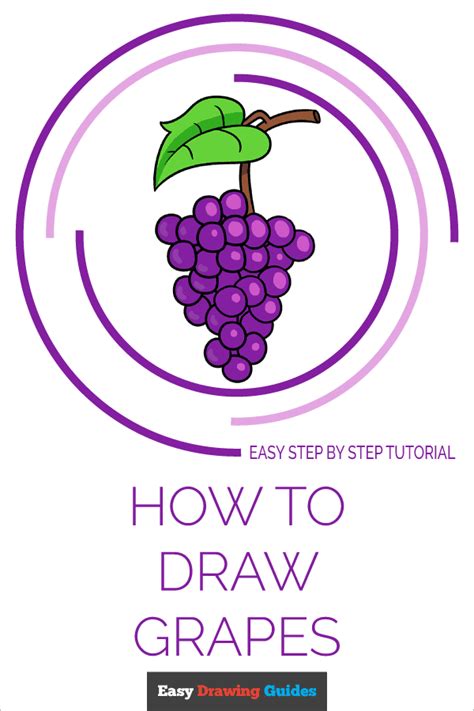 Learn How To Draw Grapes Easy Step By Step Drawing Tutorial For Kids