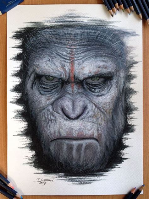 25 Beautiful And Realistic Animal Drawings Around The World Cool