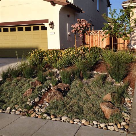 This Is Why You Should Consider Xeriscaping Your Lawn