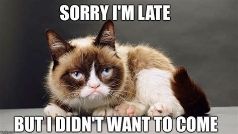 Sorry Im Late But I Didnt Want To Come Funny Grumpy Cat Memes