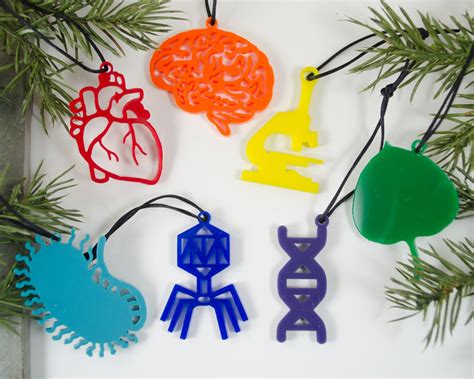 Biology - Set of 7 Ornaments | Ornaments, Tin gifts, Christmas ornaments