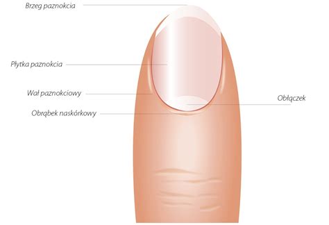 Paznokcie wgłębienia bruzdy plamy i inne zmiany ALFA LEK