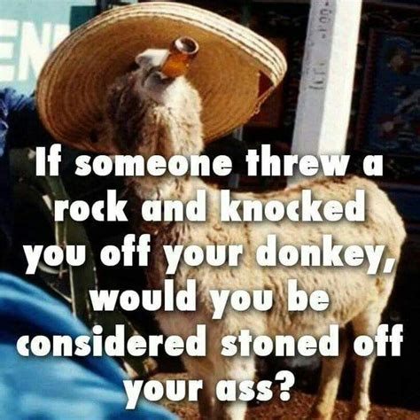 Stoned Funny Quotes Freaking Hilarious Funny