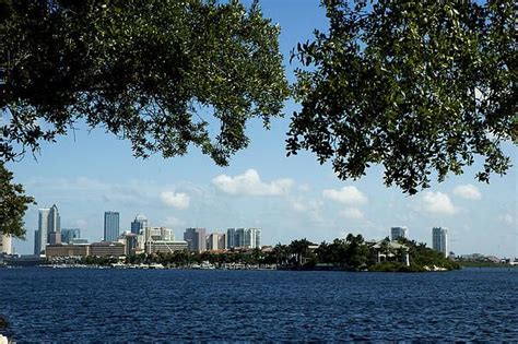 Downtown Tampa Florida And Harbor Island Florida As Seen From Davis