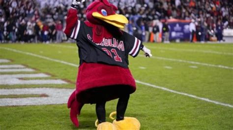 Epic Mascot Reveal At South Carolina Graduation Goes Viral Flipboard