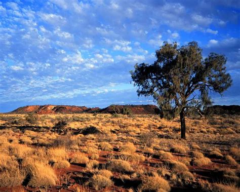 A Beginners Guide To The Outback Halfway Anywhere
