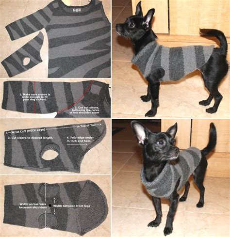 How to rehome your pet. Wonderful DIY Recycled Dog and Cat Sweater