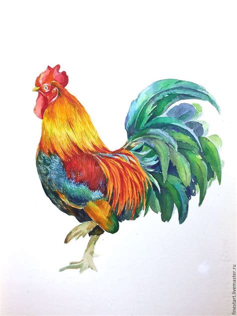 For practice, here are some easy watercolor painting ideas for beginners. Idea by romsusbla on Images -Animals | Watercolor rooster ...