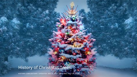 history of christmas trees thehypothyroidismchick
