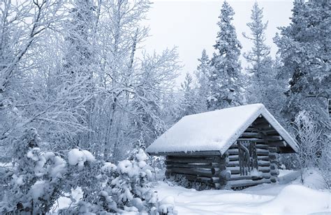 Snow Covered Cabin