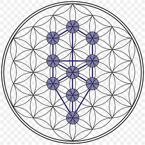 Tree Of Life Sacred Geometry Overlapping Circles Grid Png 1024x1024px