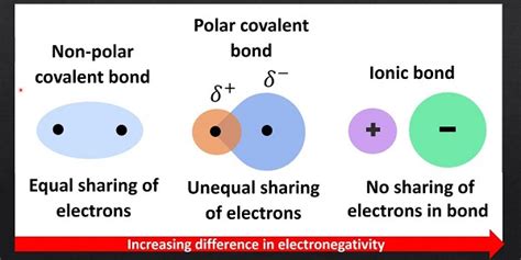 Polar And Nonpolar Covalent Bonds Definitions Molecules And Examples