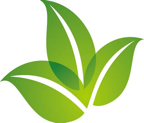 Leaf Logo - Spring green leaf logo design png download - 3233*2758 png image