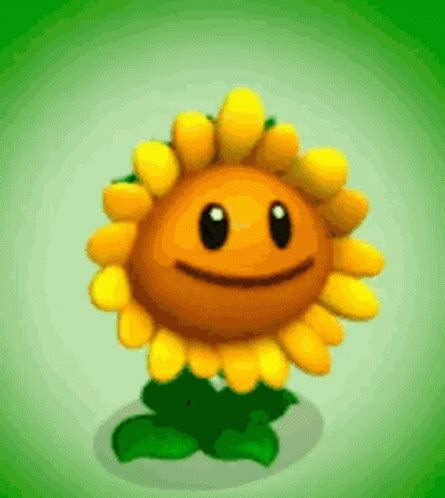 Sunflower Nature Gif Sunflower Flower Nature Discover And Share Gifs