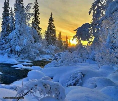 87 Best Winter Snow Scenes Images On Pinterest Winter